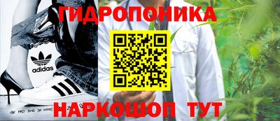 сатива Обнинск