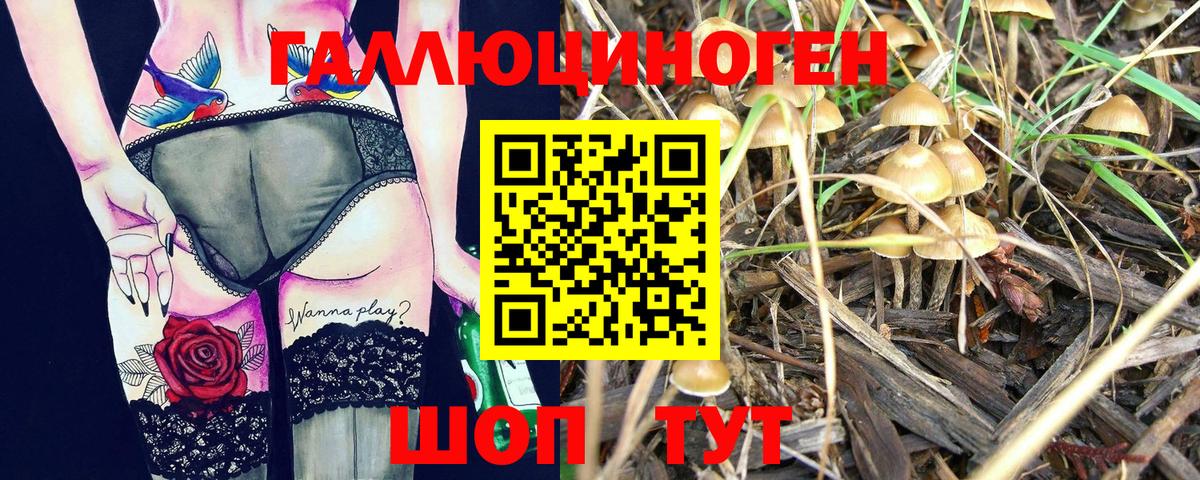 Сорочинск  Галлюциногенные грибы Psilocybe  Вход с VPN 