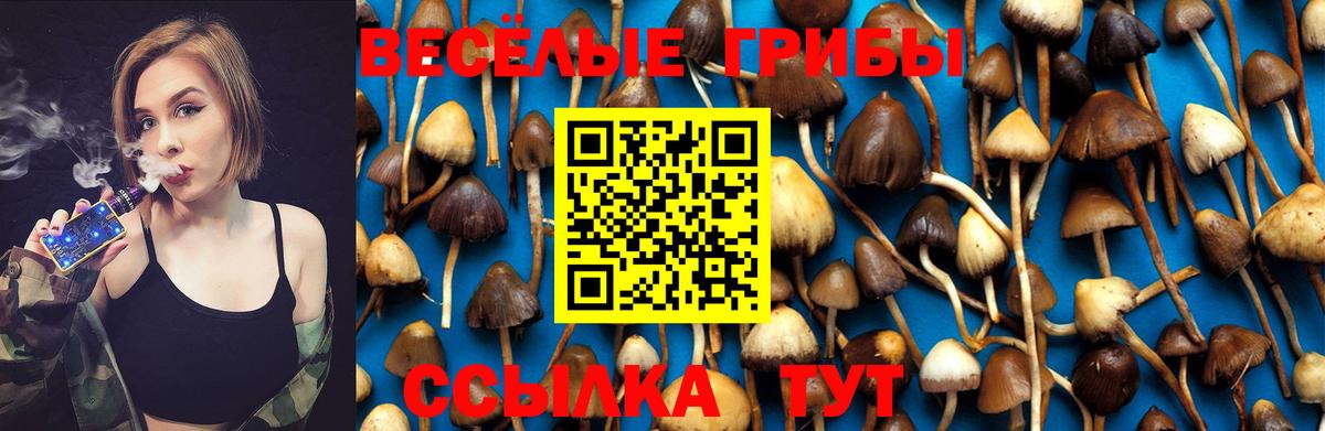 Псилоцибиновые грибы прущие грибы Сорочинск